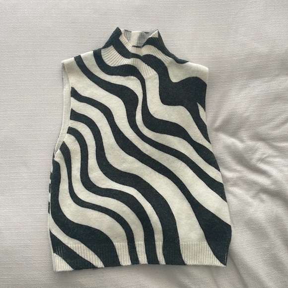 Zara Jacquard Knit Sleeveless Turtleneck Stripe Print - Picture 3 of 4
